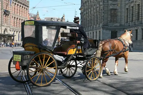 Driver Left Horse to Take a Tourist Photo. An 18-Year-Old Is Dead.