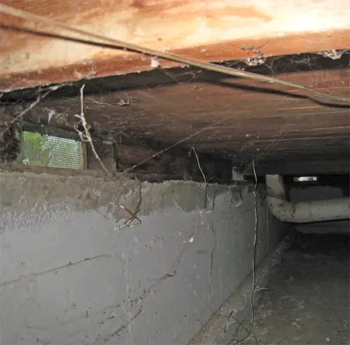 Man Charged for Wife's Murder 20 Years After She Vanished Into a Crawlspace