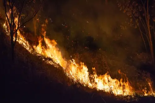 Trump Slaps Canada With 50% Tariffs, Blames Wildfire Smoke