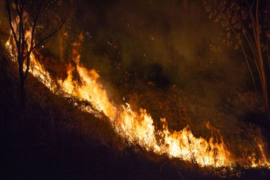 A dramatic night scene of a wildfire spreading through dry grass in São Paulo, Brazil.
