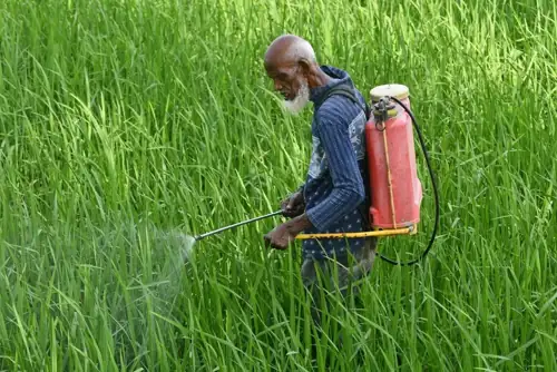 Supreme Court Just Made It Harder to Sue Roundup's Maker for Cancer