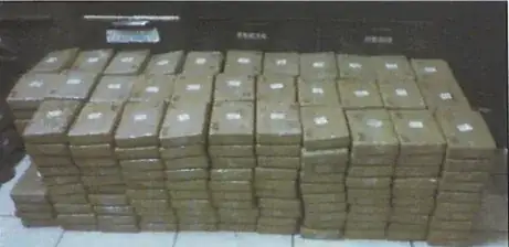 1,173 Lbs of Cocaine Found Hiding in a Cabbage Shipment at Texas Border