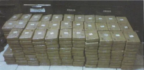 United States of America v. Joaquín Guzmán Loera, Memorandum of Law in Support of Pretrial Detention, Exhibit 7 (B)