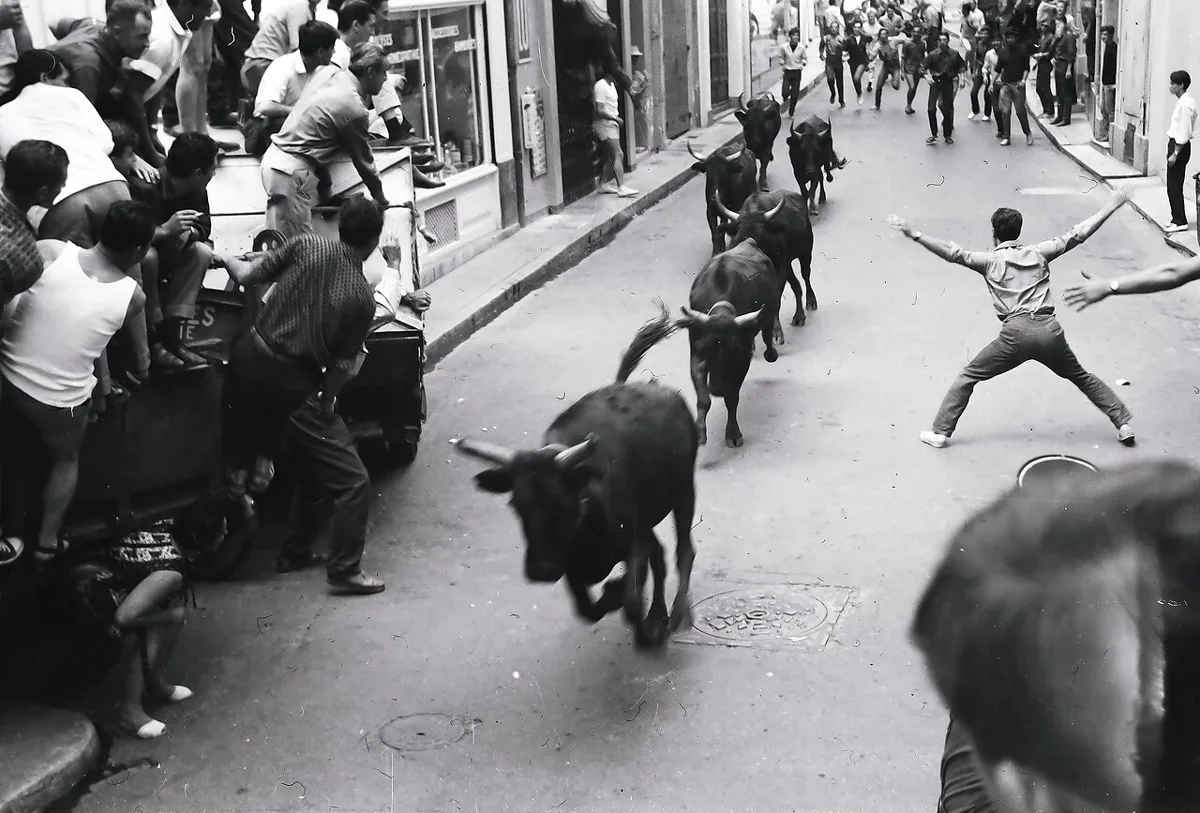 Lâcher de taureaux à Arles