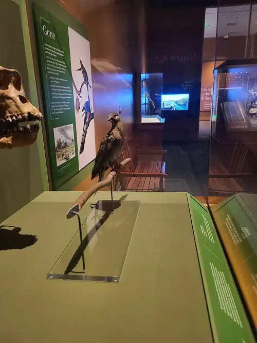 White House Calls the Smithsonian 'Radical' in 162-Page July 4th Tantrum