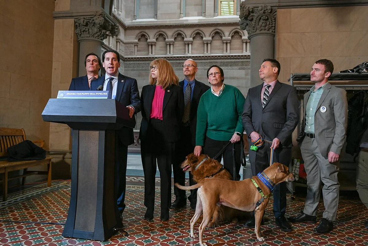 (02-03-20) NYS Senator Todd Kaminsky