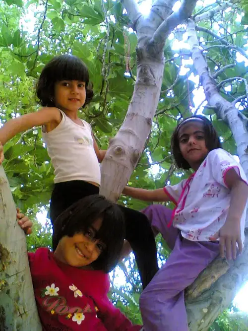 Pentagon May Classify Its Own Report on Killing 170 Kids in Iran