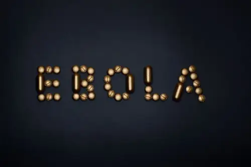 Biggest Ebola Outbreak in History Is Happening Right Now and Nobody's Talking About It