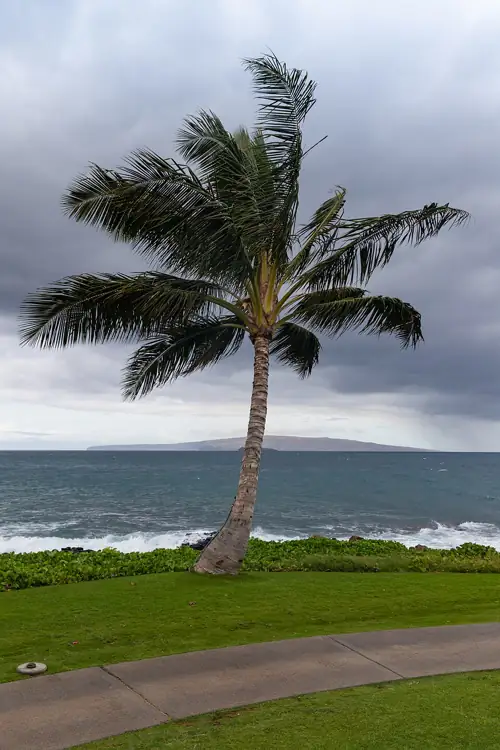 Hawaii Gets Hit By A Second Storm Before Lala's Mud Even Dried