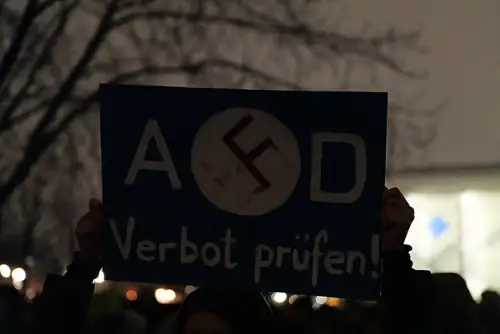 Germany's Far-Right AfD Wins 44% in Regional Vote, Eyes First State Government