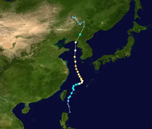 Nearly 2 Million Flee as Typhoon Bavi Batters Taiwan and China