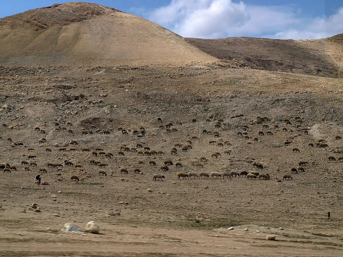 Bedouin on the West Bank of the Jordan River