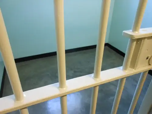 ICE's Former Boss Cashes Out at Firm That Lobbies for Private Prisons He Filled