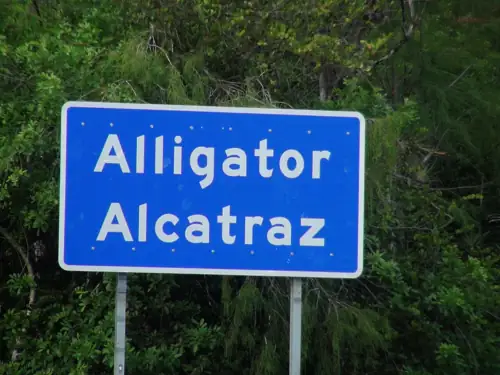 ICE Quietly Empties 'Alligator Alcatraz' and Won't Say Where Anyone Went