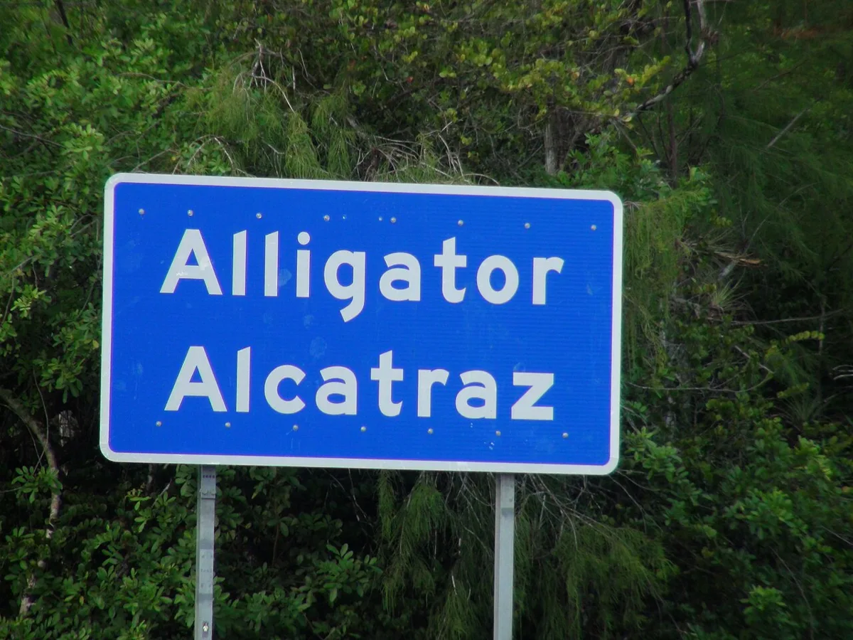 Alligator Alcatraz on 2025-08-04 (4)