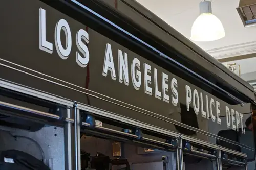 LAPD Shot a Woman's Dog While She Was Celebrating the Knicks