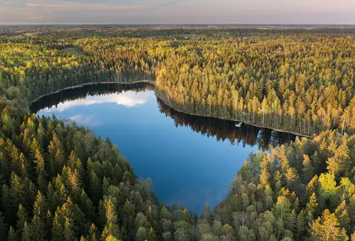 Google Razed 250,000 Trees Before Asking Finland's Permission