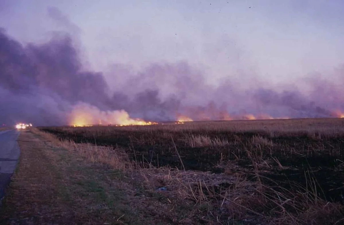 Wildfire on fields by road
