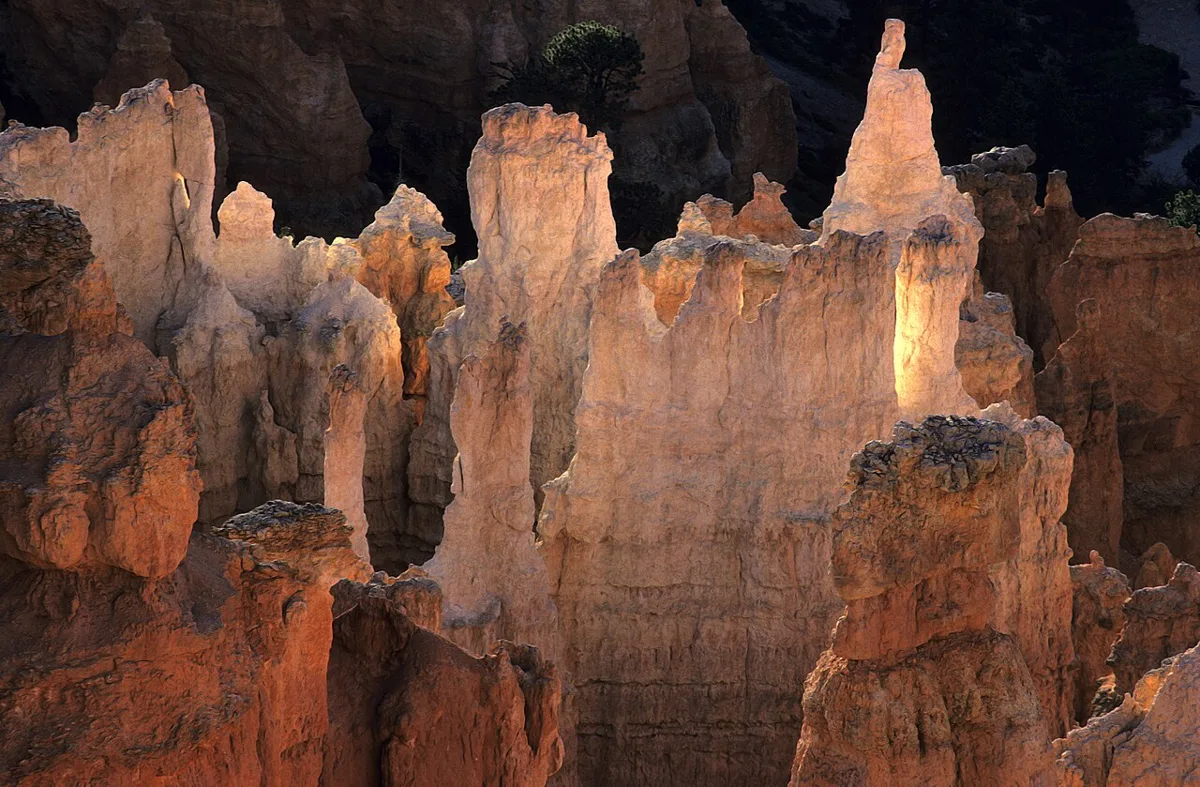 Hoodoos in the Bryce Canyon National Park