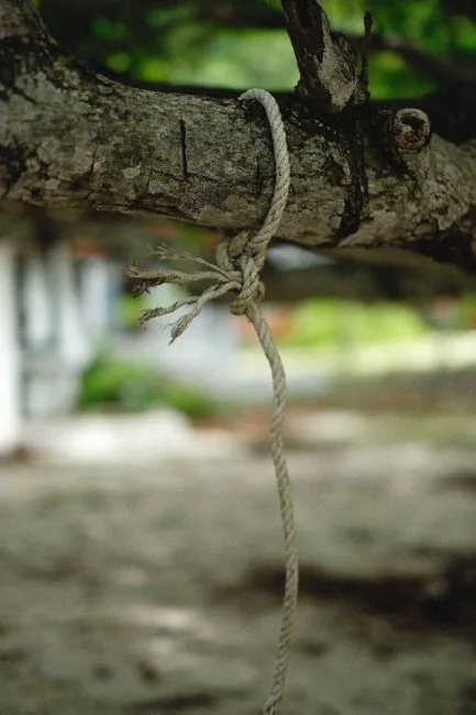 Detailed close-up of a rope tied around a tree branch with blurred outdoor background.