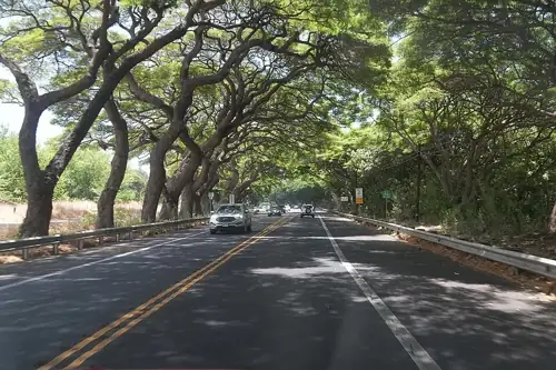 Naked College Swimmer Arrested for Killing Maui Security Guard at 1:45 AM