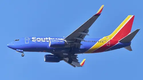 ICE Arrested a Southwest Flight Attendant Mid-Shift in Nashville