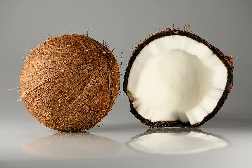 Coconuts - single and cracked open