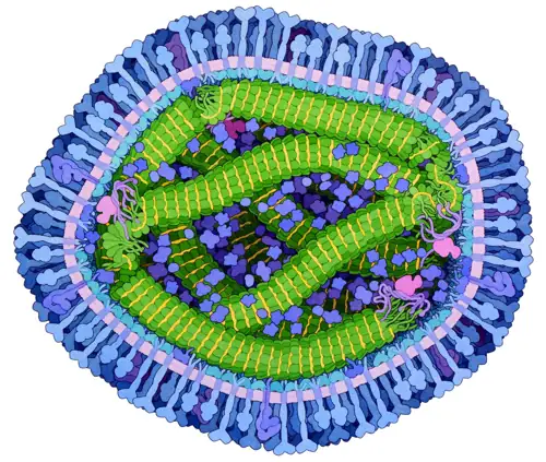 890 Measles Cases, 4 Dead in PA — RFK Jr. Says Deaths 'May Have Been Fabricated'