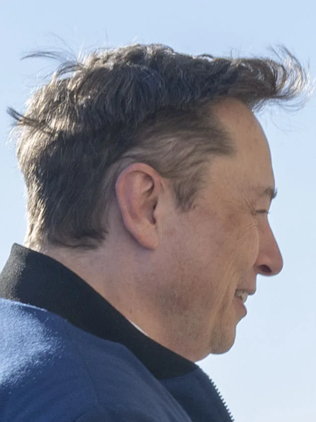 Elon Musk (2025) (cropped)
