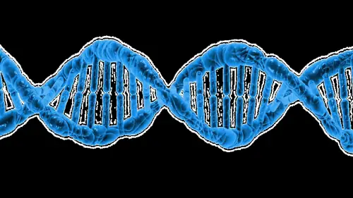 DNA Clears Utah Man Who Spent 41 Years on Death Row for a Murder He Says He Never Committed