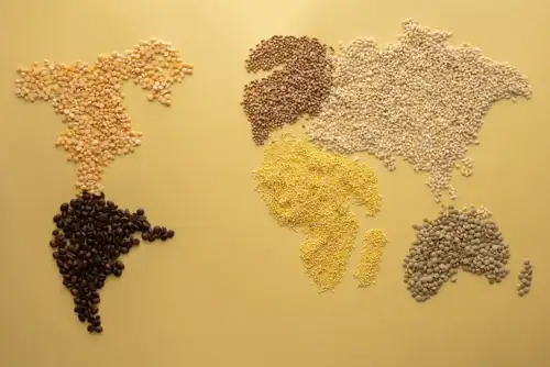 Global Hunger Drops Below 8% for the First Time Since COVID