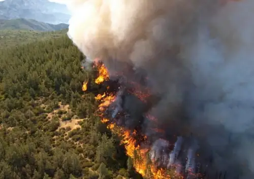 Three Firefighters Dead, 300K Acres Ash: The West Is on Fire Again