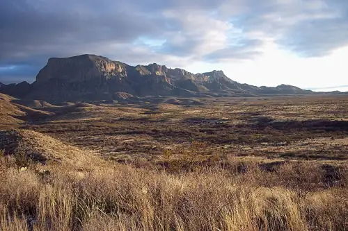 Trump's Border Wall Crew Pauses Big Bend Bulldozing After Even Republicans Complained
