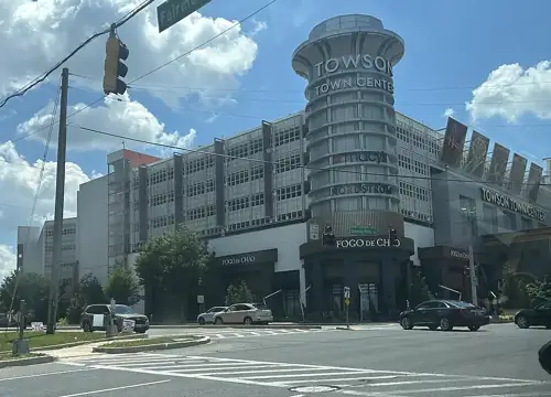 Snakes, a Lemur, and a Parking Garage on Fire: Maryland Men Charged for Illegal Exotic Animal Photoshoots