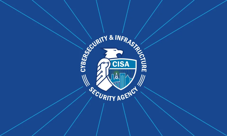 Cybersecurity and Infrastructure Security Agency flag