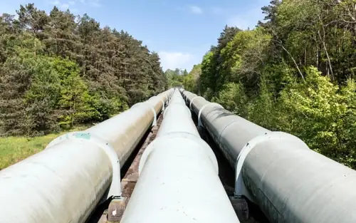 Keystone Pipeline Killed 2,700 Animals. The Fine Is $27M.
