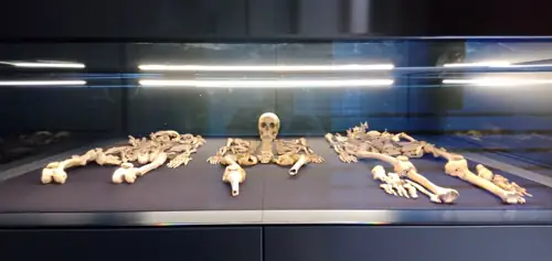 Man Buys Foreclosed Home at Auction, Finds 3 Skeletons Inside