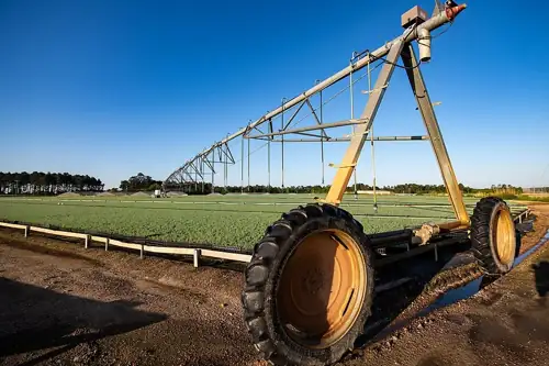 Taylor Farms Called the White House to Delay a Parasite Recall