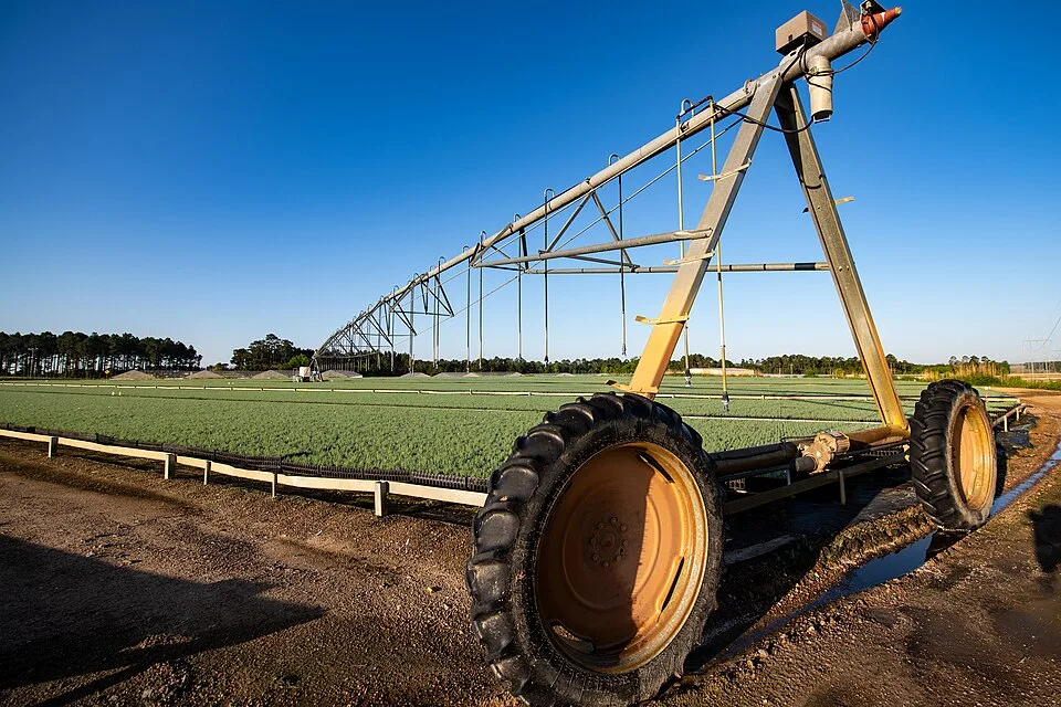 Lewis Taylor Farms seven months after Hurricane Michael (20190507-OSEC-LSC-0086)