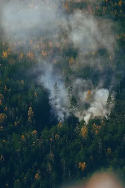 Trump Tells Wildfire-Ravaged Canada to Pay Him for the Smoke