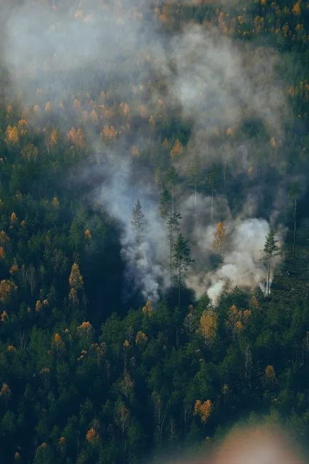 Aerial photograph capturing smoke rising through the colorful autumn forest scene.