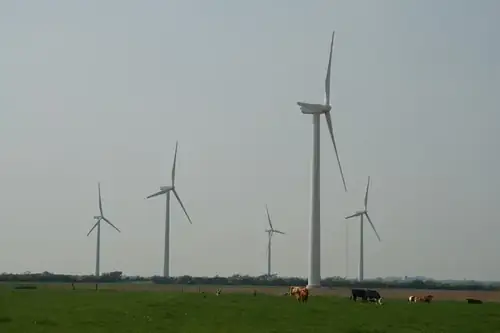 Trump Paid $2.6B to Kill Wind Jobs and Blame Birds for It