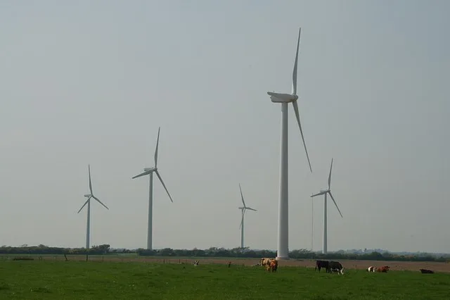 Wind farm - geograph.org.uk - 807084