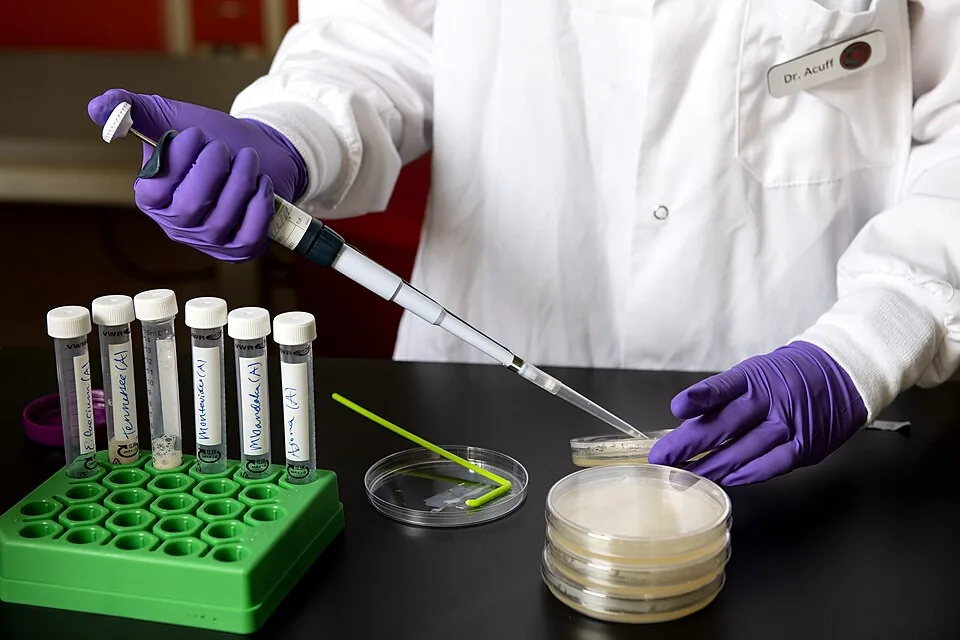 Acuff Food Safety Lab - 52029961861