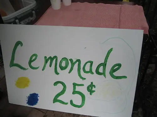 Michigan Kids Were Getting Fined for Lemonade Stands