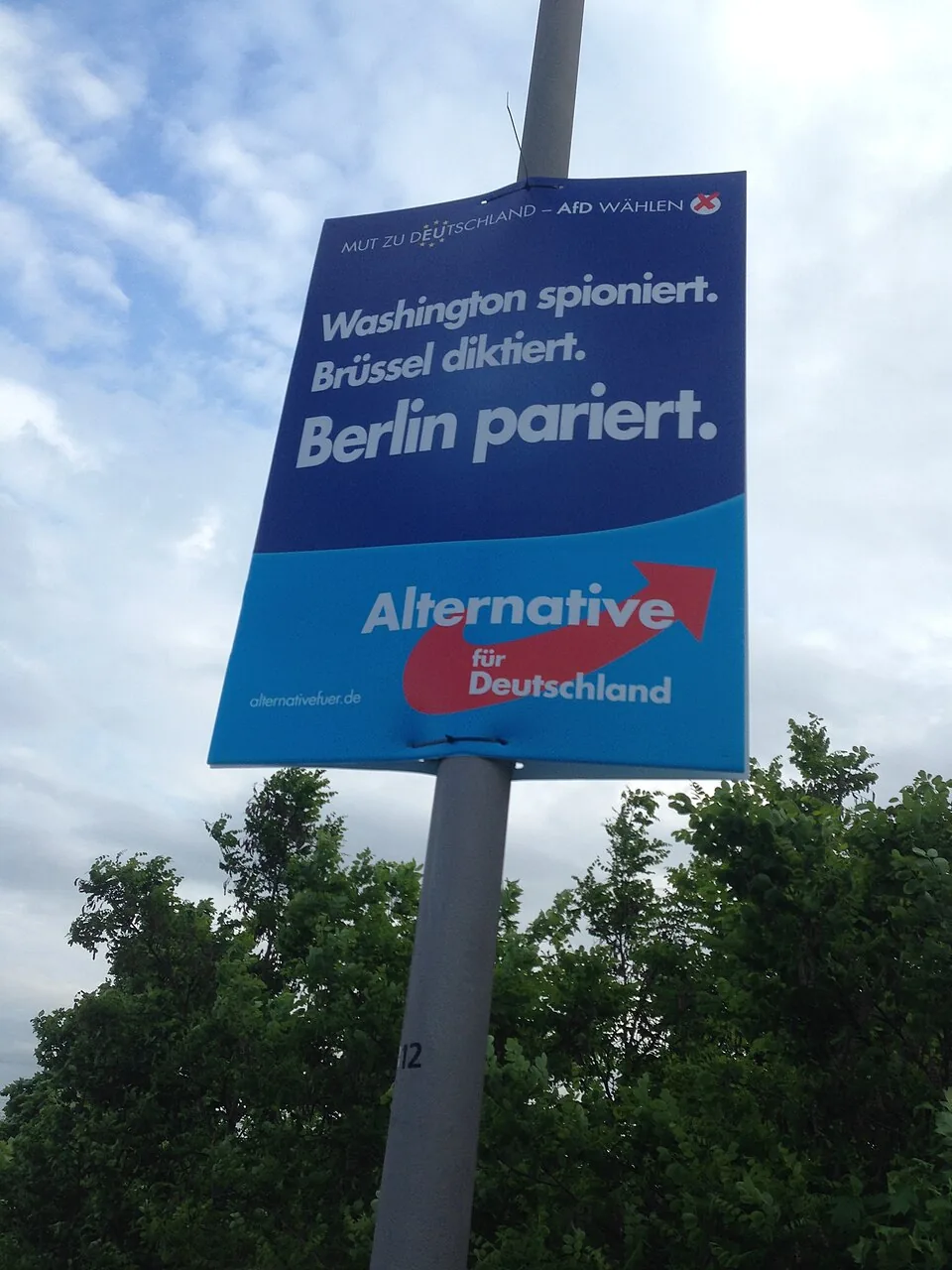 Alternative Für Deutschland election poster