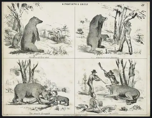California Couple Beats Off Bear Attack With a Hatchet and a Water Bottle