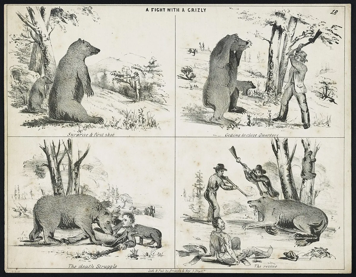 A fight with a grizly (i.e. grizzly) - Lith. & Pubd. by Britton & Rey, S. Franco. LCCN2011661683