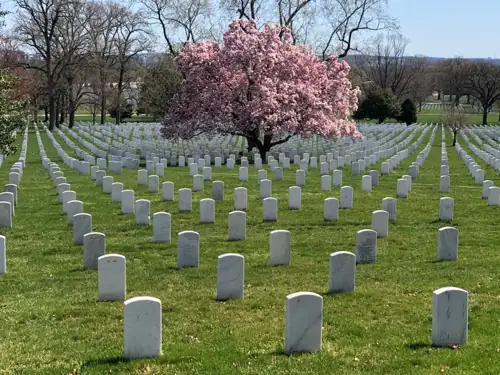 Veterans Are Refusing Burial at Arlington Over Trump's Vanity Arch