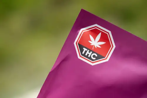 Mothers Are Landing on Child Abuse Registries for Using Legal Weed